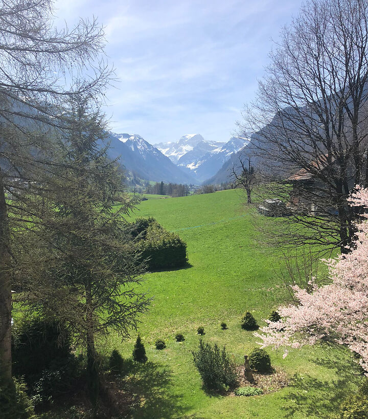 Der Berg Tödi