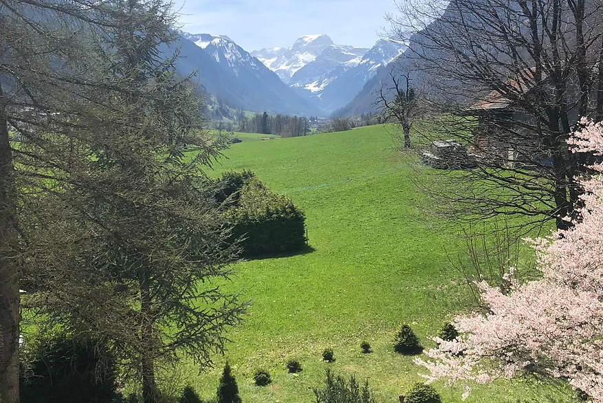 Die Romantik Hotels der Schweiz – Beispiel Landvogthaus